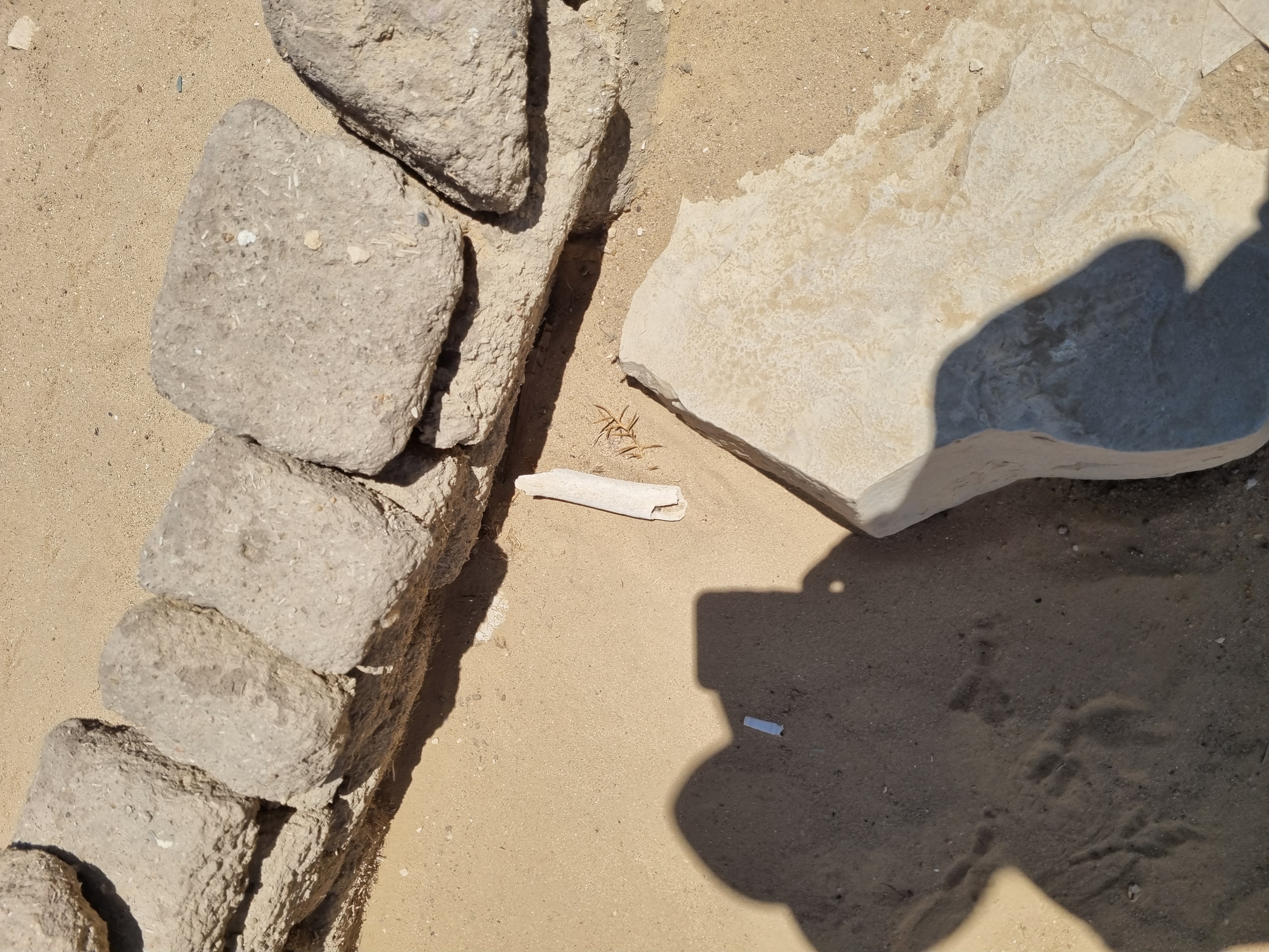 Photo from 2025