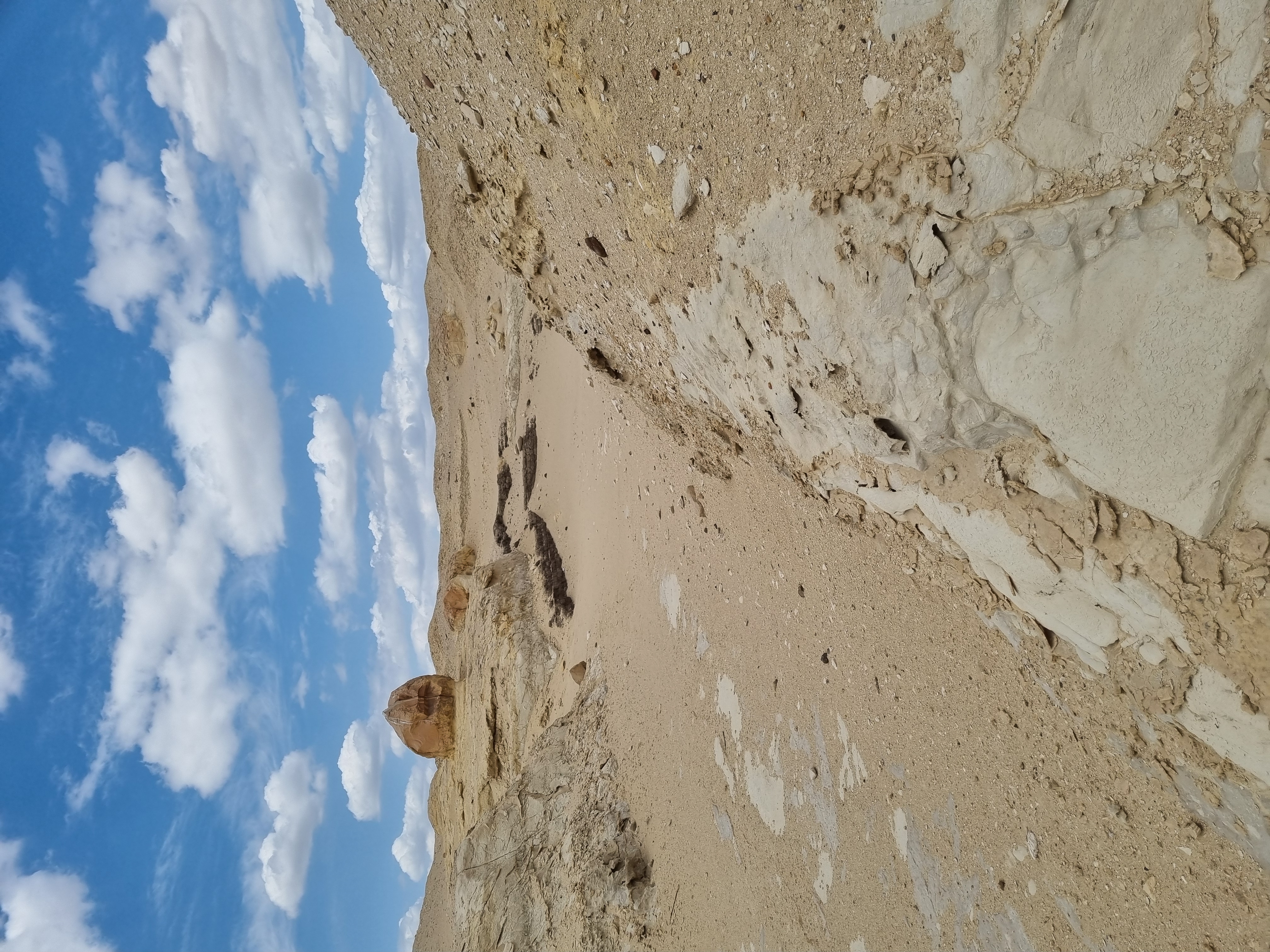 Photo from 2025