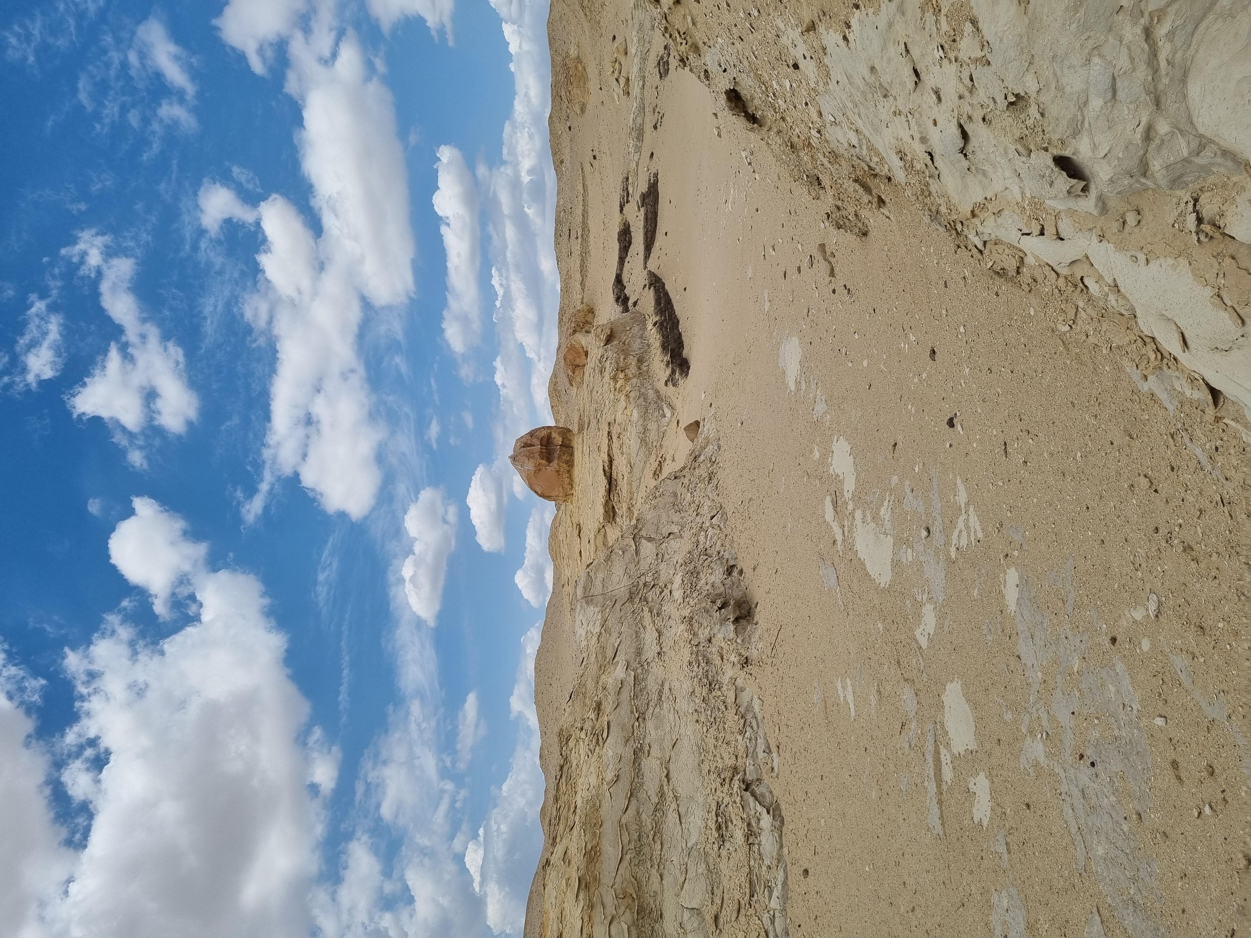 Photo from 2025