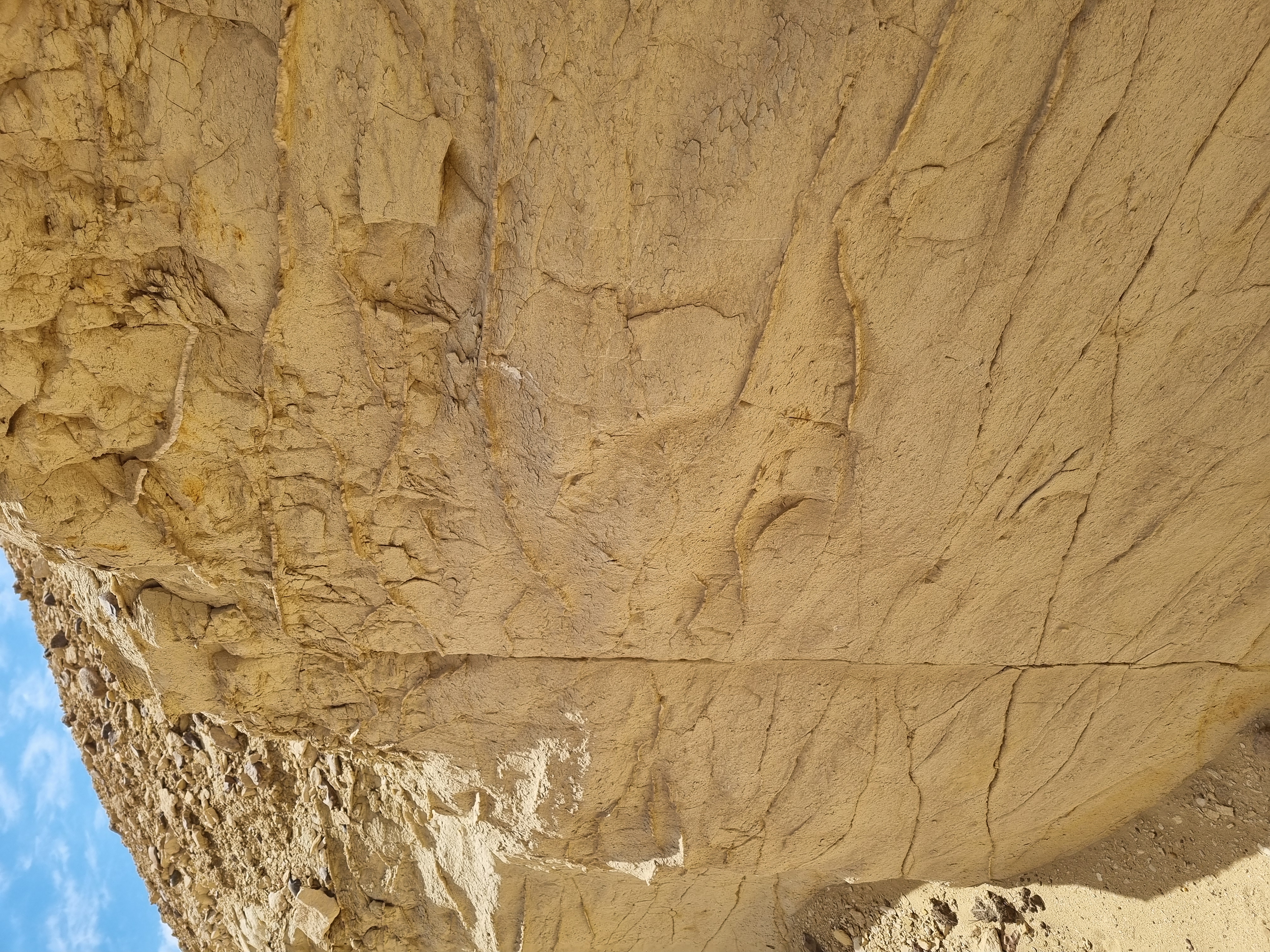 Photo from 2025