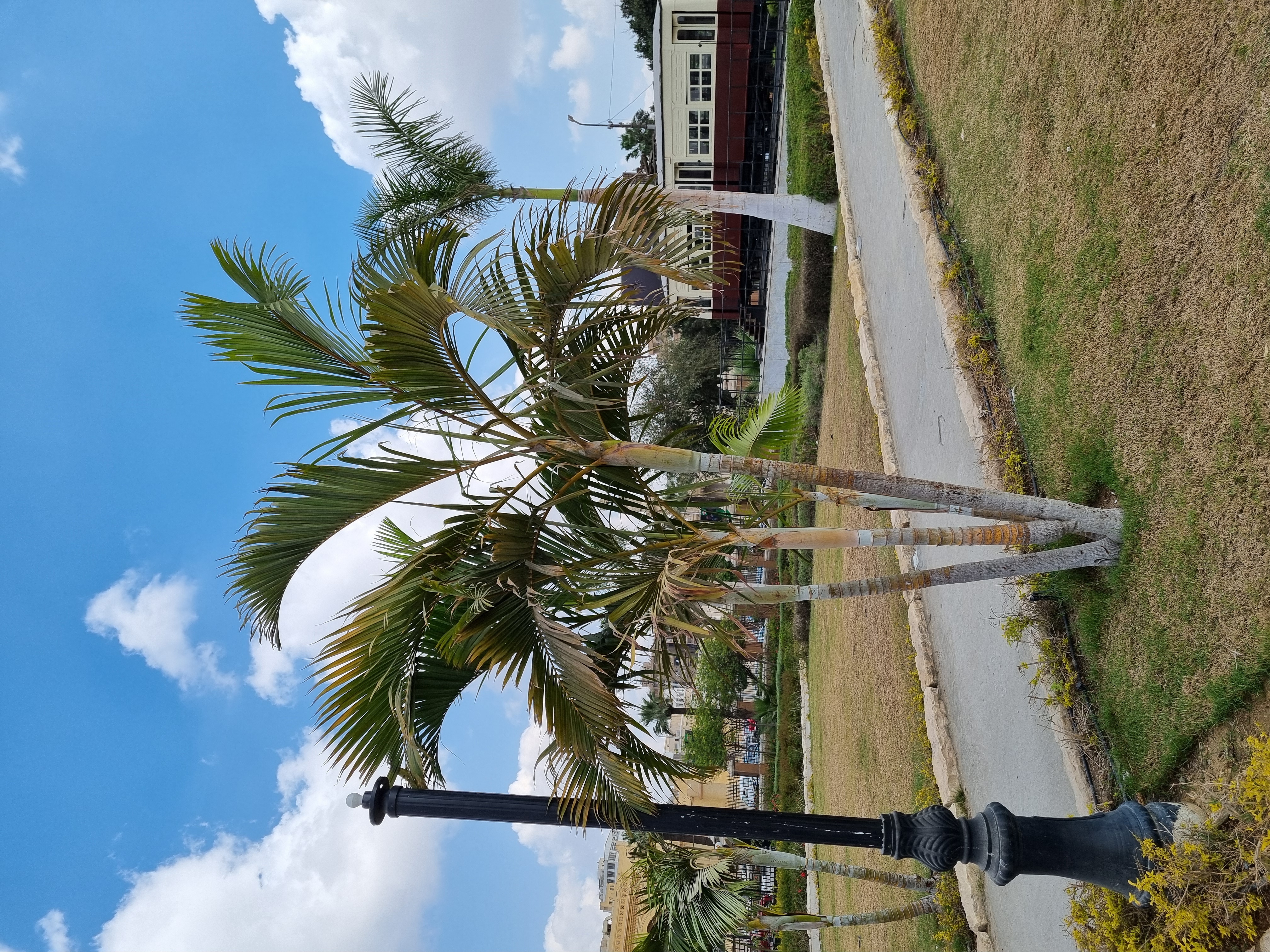 Photo from 2025