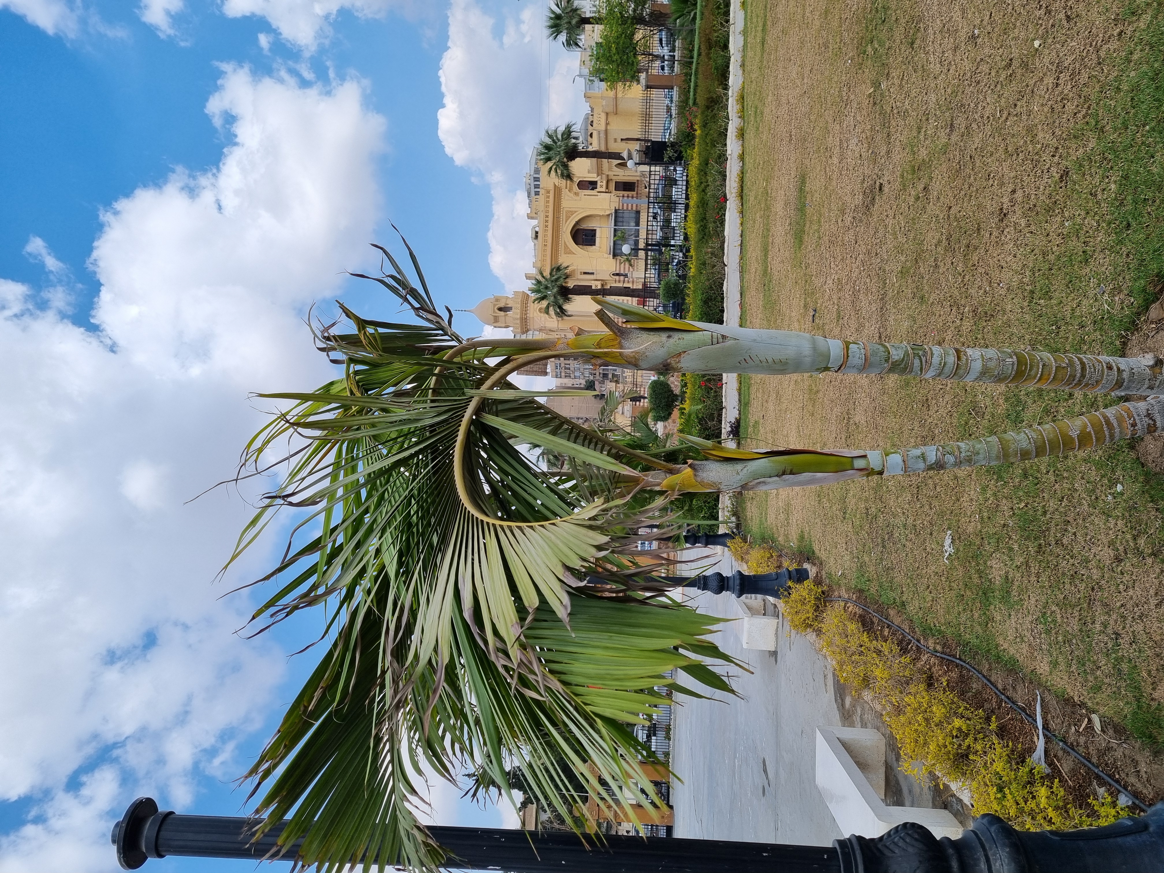 Photo from 2025