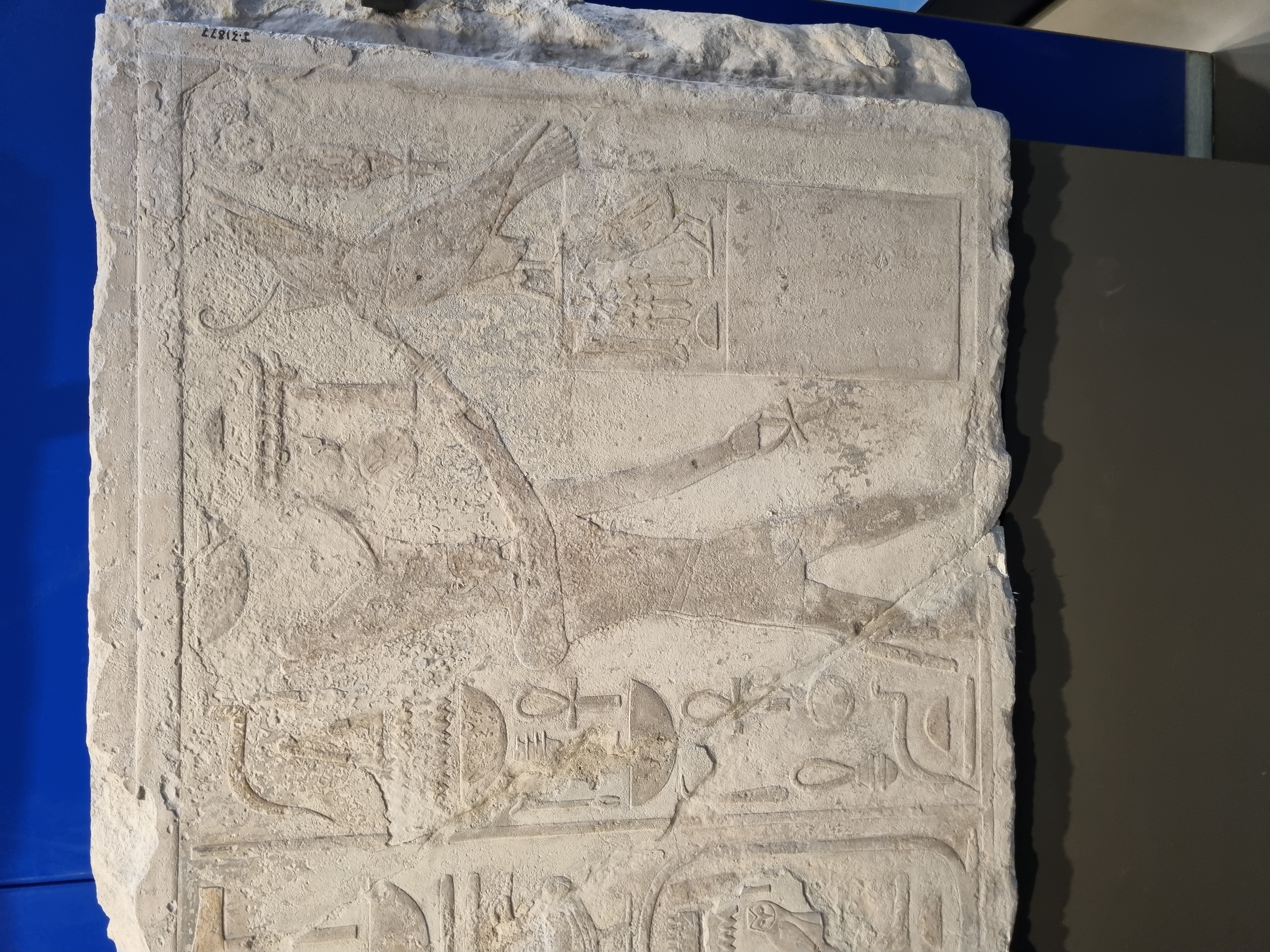 Photo from 2025