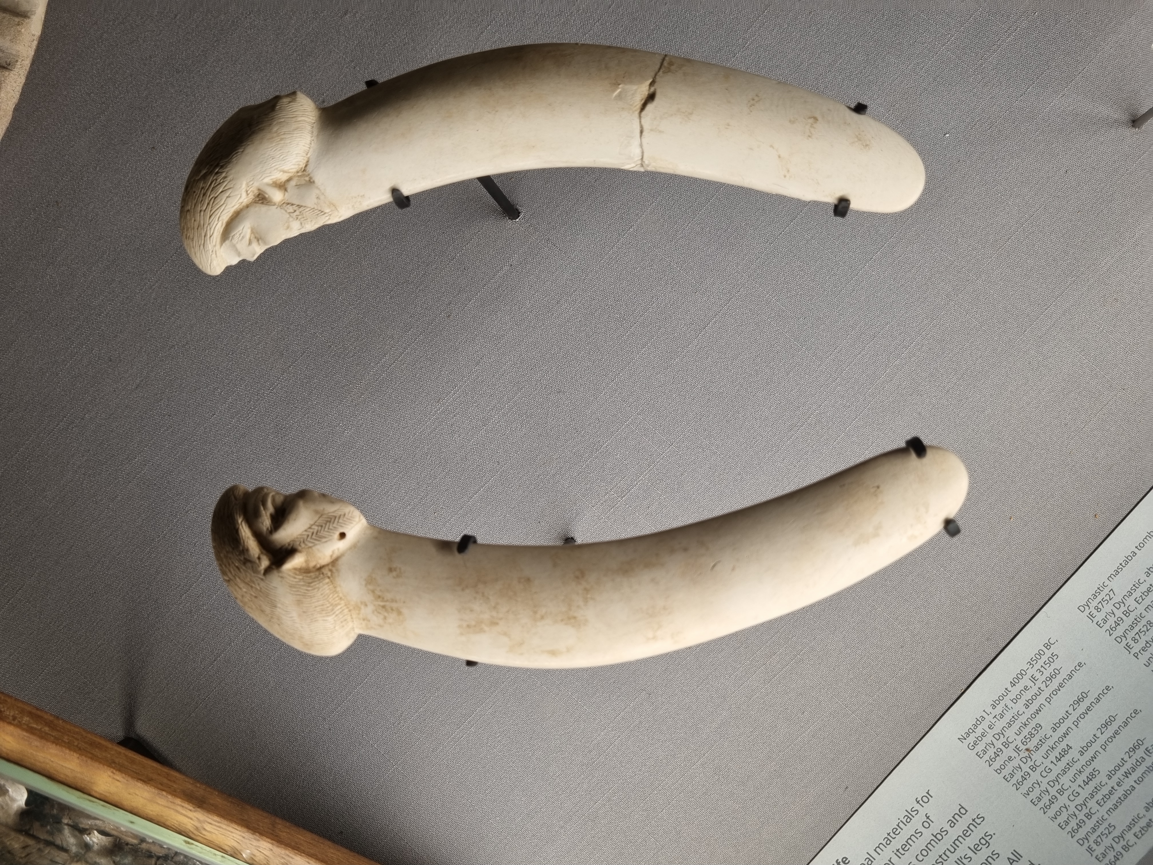 Photo from 2025