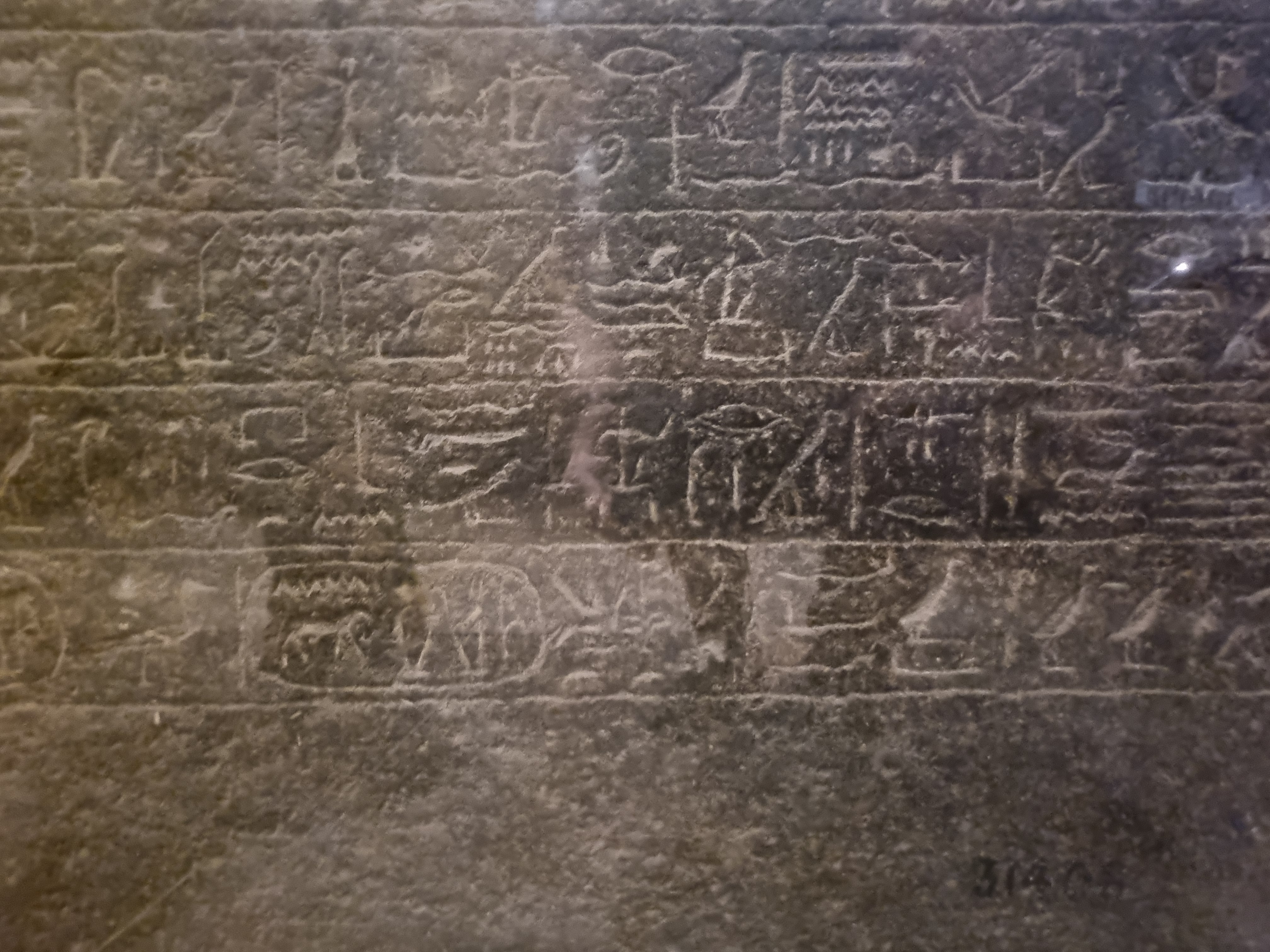 Photo from 2025