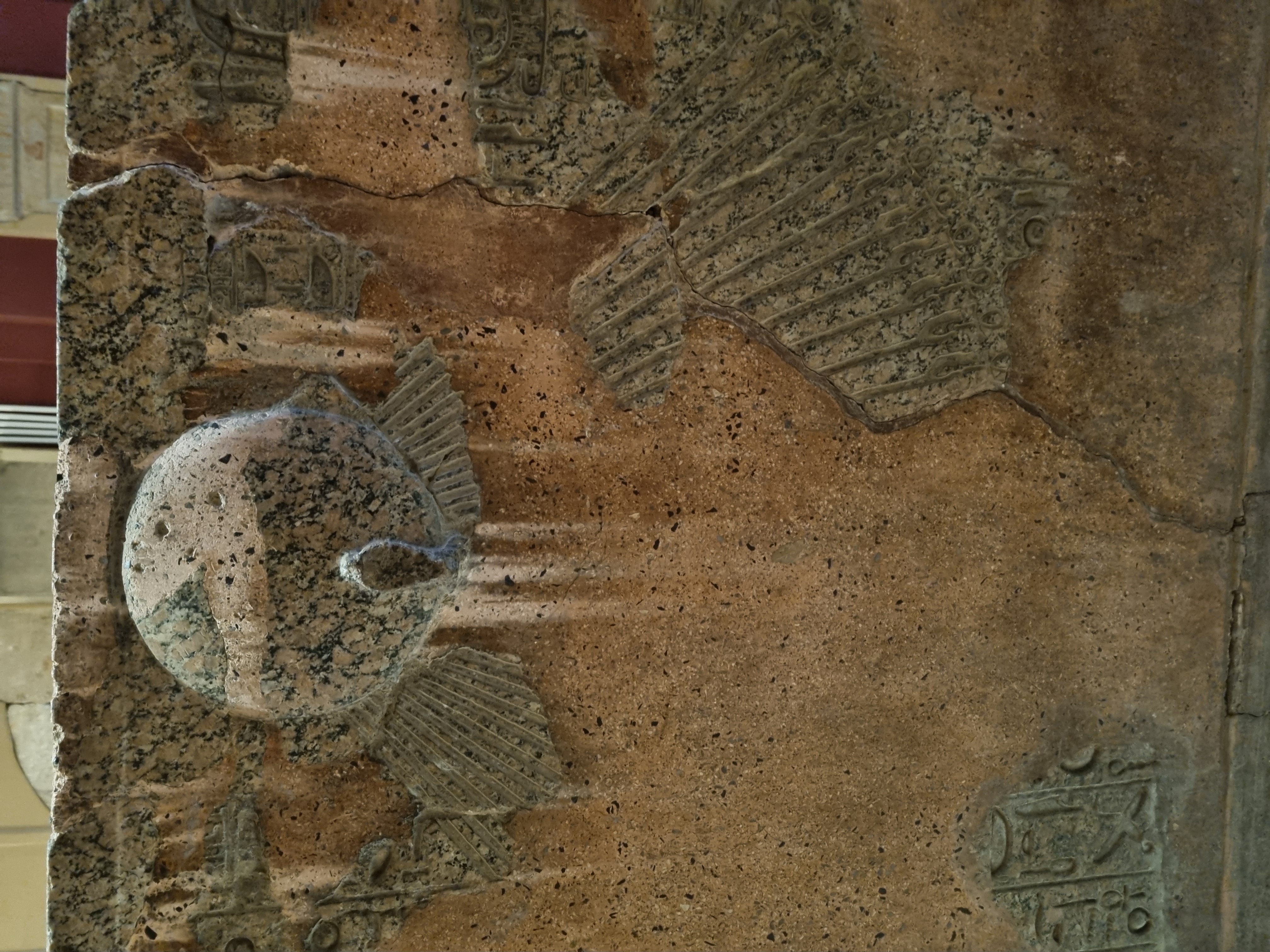 Photo from 2025