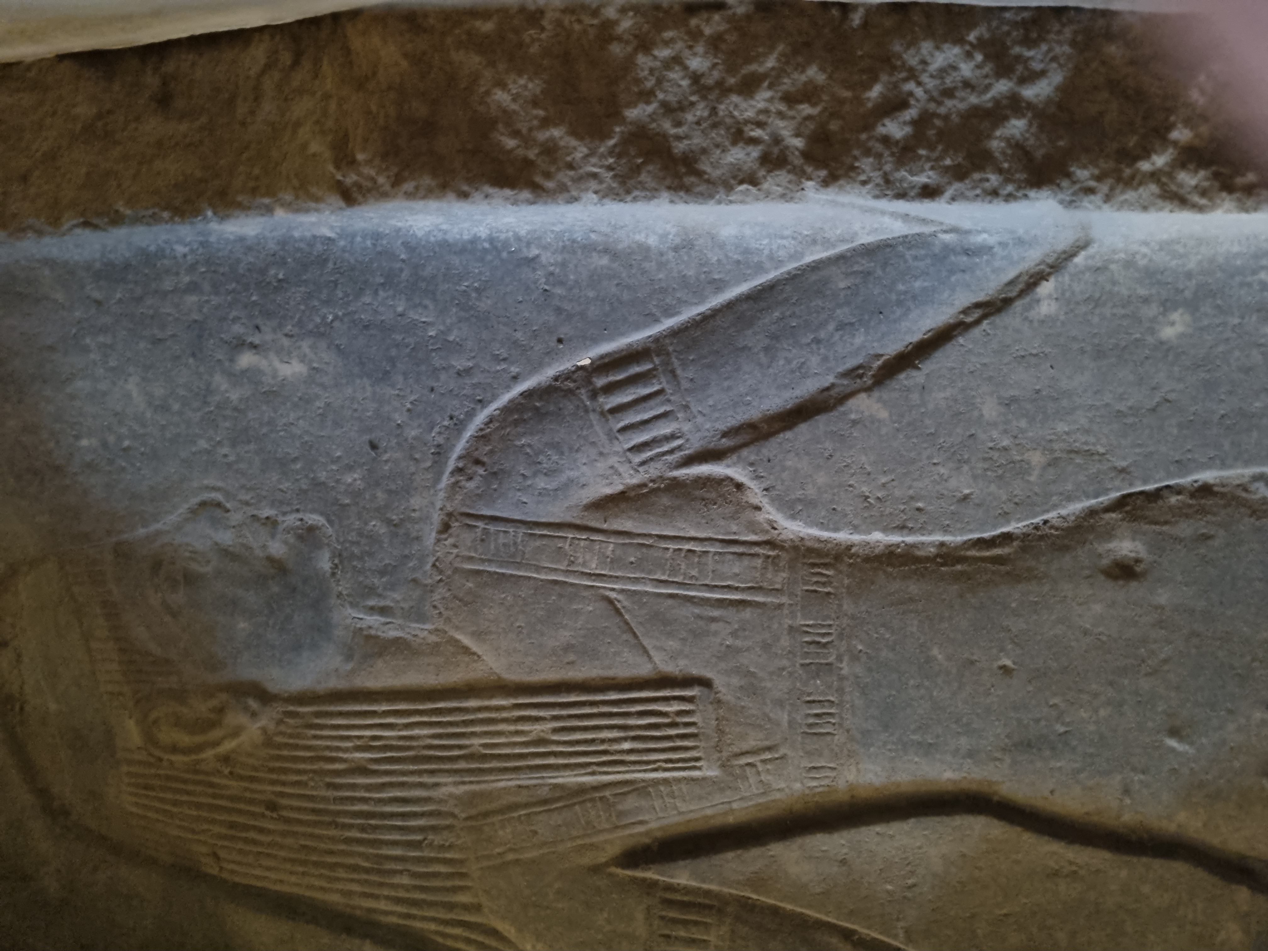 Photo from 2025