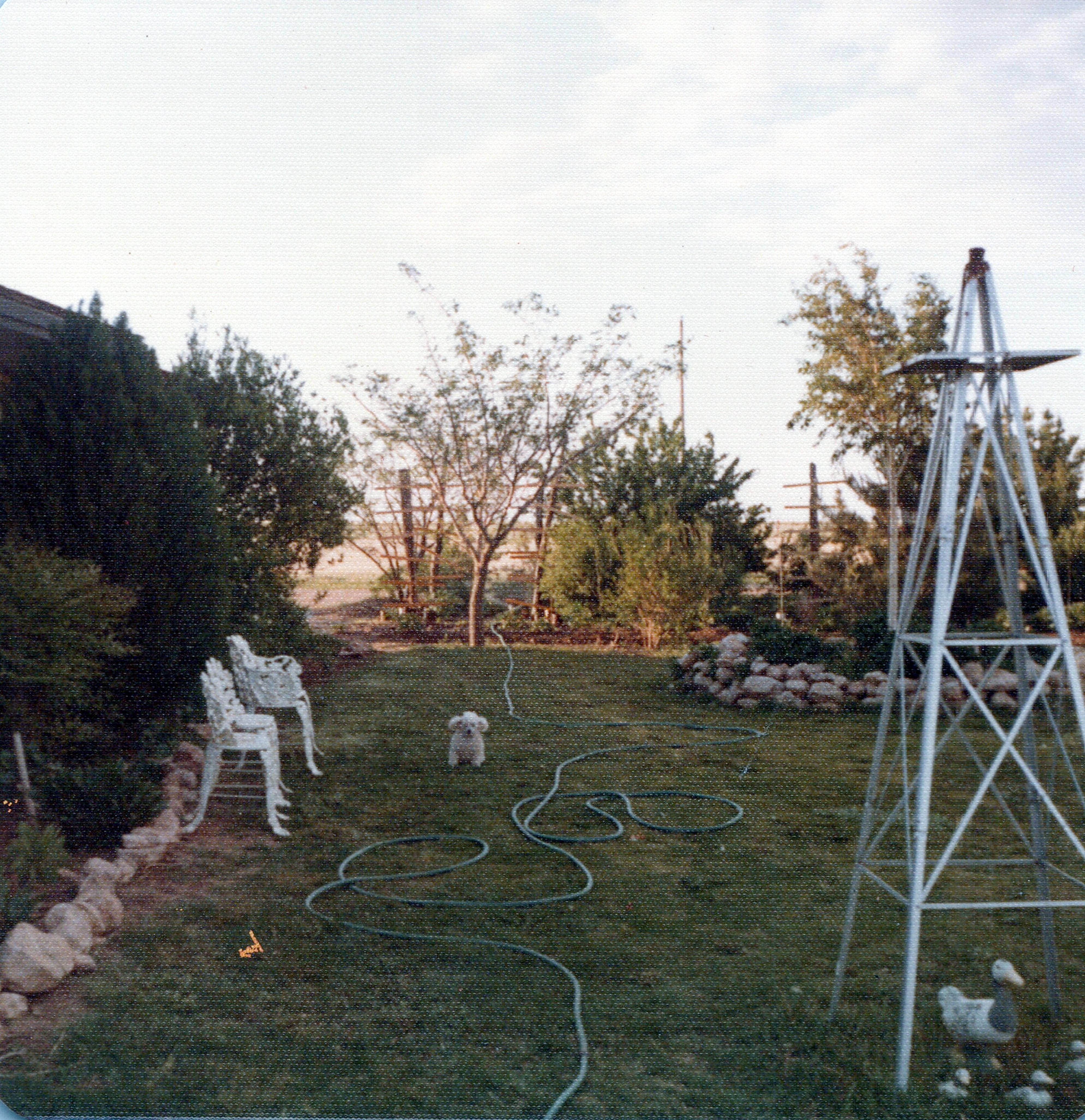 A personal photograph